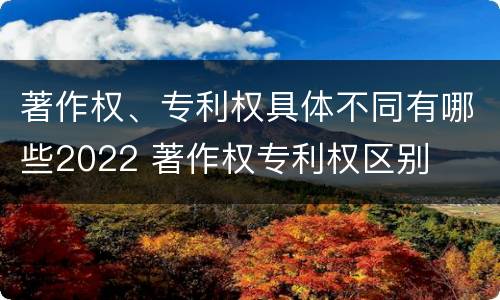 著作权、专利权具体不同有哪些2022 著作权专利权区别