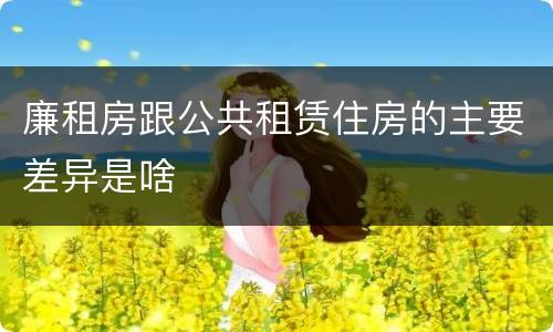 廉租房跟公共租赁住房的主要差异是啥