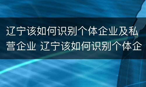 辽宁该如何识别个体企业及私营企业 辽宁该如何识别个体企业及私营企业名称