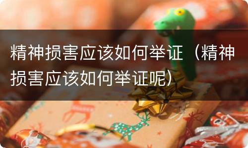 精神损害应该如何举证（精神损害应该如何举证呢）