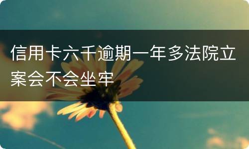 信用卡六千逾期一年多法院立案会不会坐牢