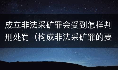 成立非法采矿罪会受到怎样判刑处罚（构成非法采矿罪的要件）