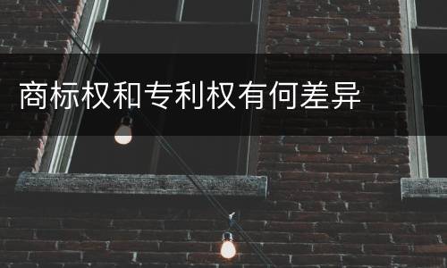 商标权和专利权有何差异