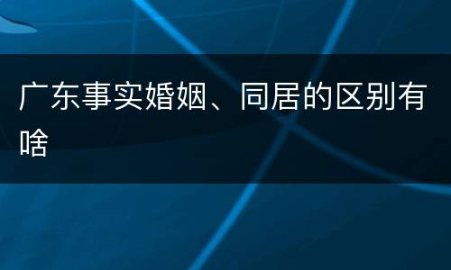 广东事实婚姻、同居的区别有啥