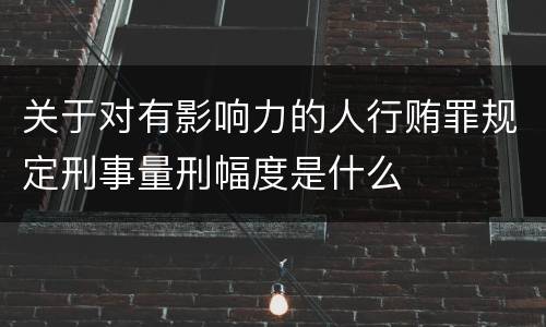 关于对有影响力的人行贿罪规定刑事量刑幅度是什么