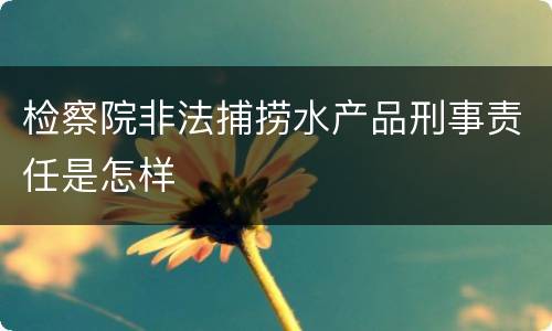 检察院非法捕捞水产品刑事责任是怎样