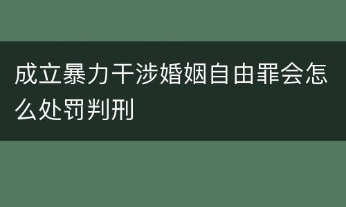 成立暴力干涉婚姻自由罪会怎么处罚判刑
