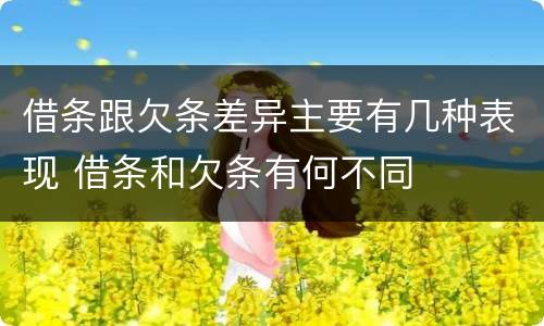 借条跟欠条差异主要有几种表现 借条和欠条有何不同