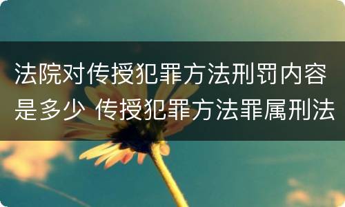 法院对传授犯罪方法刑罚内容是多少 传授犯罪方法罪属刑法规定的