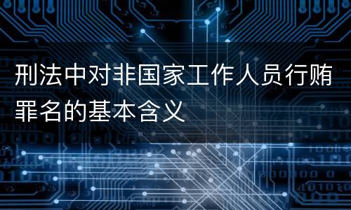 刑法中对非国家工作人员行贿罪名的基本含义