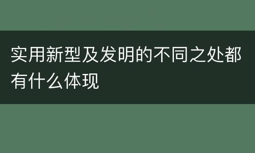 实用新型及发明的不同之处都有什么体现