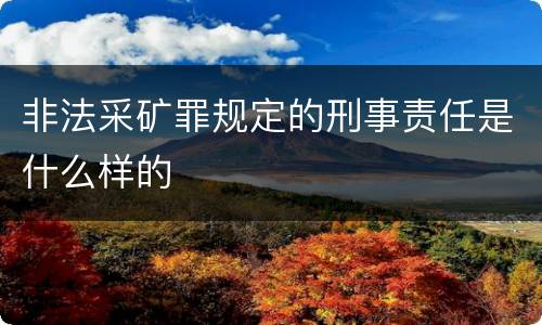 非法采矿罪规定的刑事责任是什么样的