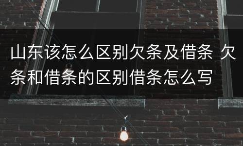 山东该怎么区别欠条及借条 欠条和借条的区别借条怎么写
