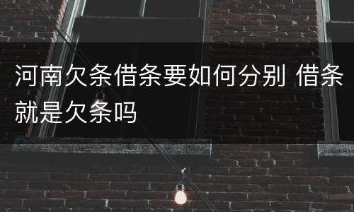 河南欠条借条要如何分别 借条就是欠条吗