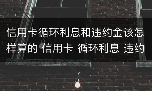 信用卡循环利息和违约金该怎样算的 信用卡 循环利息 违约金