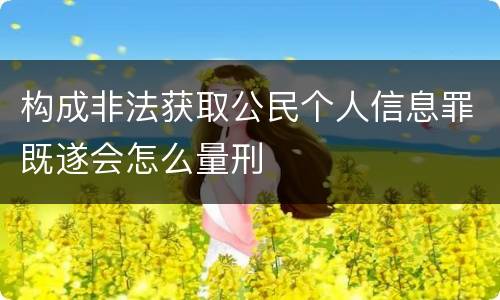 构成非法获取公民个人信息罪既遂会怎么量刑