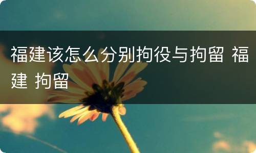 福建该怎么分别拘役与拘留 福建 拘留