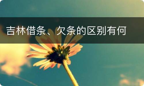 吉林借条、欠条的区别有何