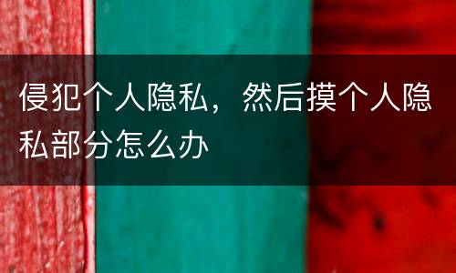 侵犯个人隐私，然后摸个人隐私部分怎么办