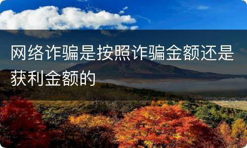 网络诈骗是按照诈骗金额还是获利金额的