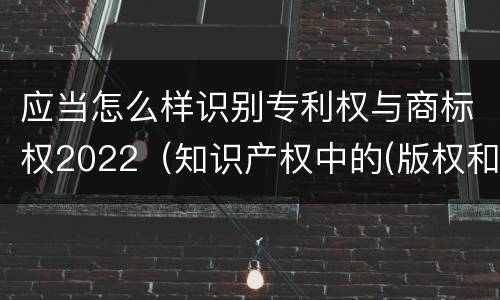 应当怎么样识别专利权与商标权2022（知识产权中的(版权和商标权与标准）