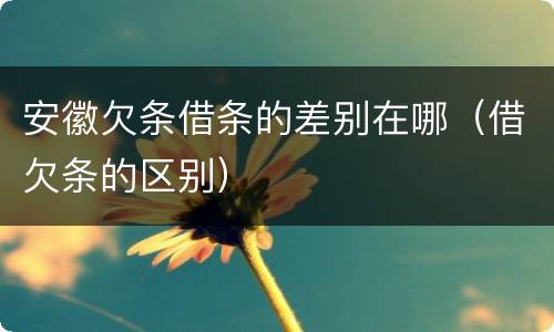 安徽欠条借条的差别在哪（借欠条的区别）