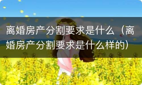 离婚房产分割要求是什么（离婚房产分割要求是什么样的）