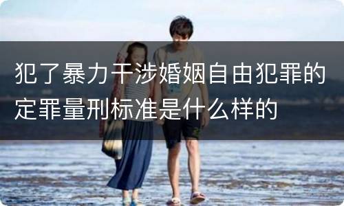 犯了暴力干涉婚姻自由犯罪的定罪量刑标准是什么样的