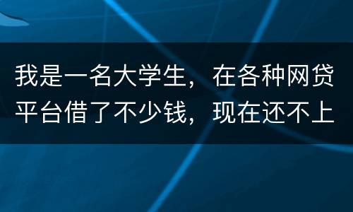 我是一名大学生，在各种网贷平台借了不少钱，现在还不上，如果不还会怎么样