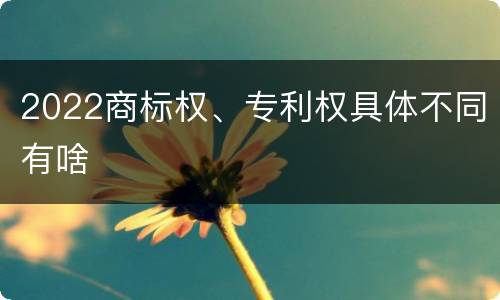 2022商标权、专利权具体不同有啥