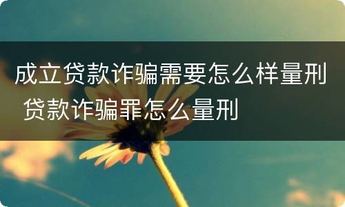 成立贷款诈骗需要怎么样量刑 贷款诈骗罪怎么量刑
