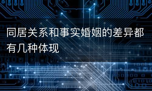 同居关系和事实婚姻的差异都有几种体现