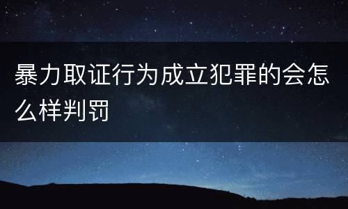 暴力取证行为成立犯罪的会怎么样判罚