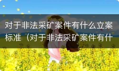 对于非法采矿案件有什么立案标准（对于非法采矿案件有什么立案标准要求）