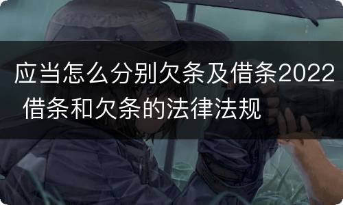 应当怎么分别欠条及借条2022 借条和欠条的法律法规