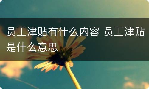 员工津贴有什么内容 员工津贴是什么意思