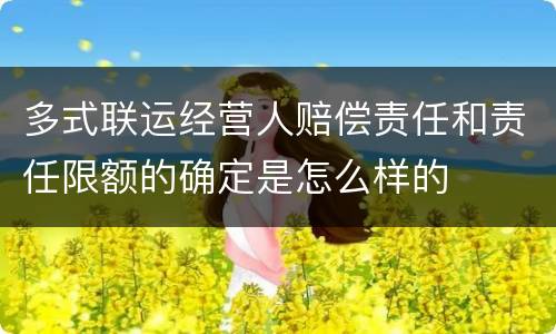 多式联运经营人赔偿责任和责任限额的确定是怎么样的