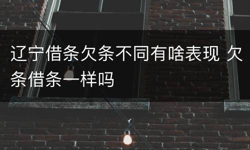 辽宁借条欠条不同有啥表现 欠条借条一样吗