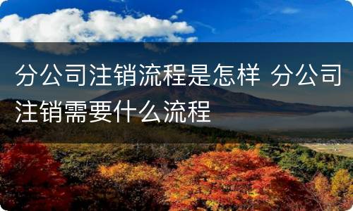 分公司注销流程是怎样 分公司注销需要什么流程