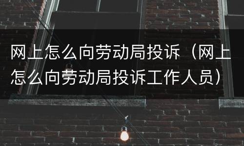 网上怎么向劳动局投诉（网上怎么向劳动局投诉工作人员）