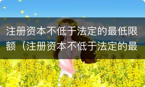 注册资本不低于法定的最低限额（注册资本不低于法定的最低限额怎么办）