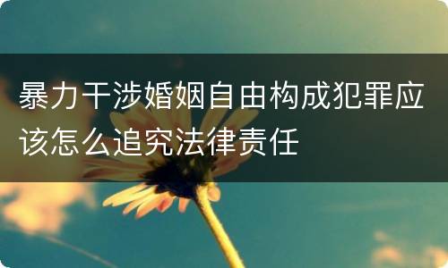暴力干涉婚姻自由构成犯罪应该怎么追究法律责任