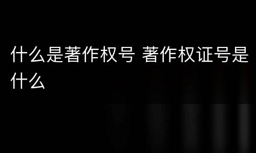 什么是著作权号 著作权证号是什么