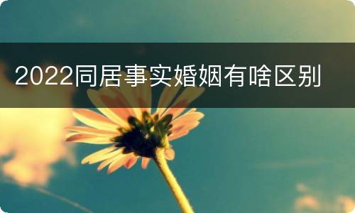 2022同居事实婚姻有啥区别