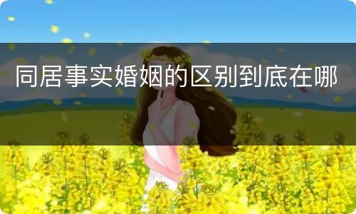 同居事实婚姻的区别到底在哪