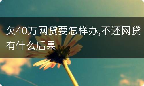 欠40万网贷要怎样办,不还网贷有什么后果