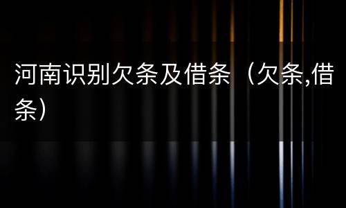 河南识别欠条及借条（欠条,借条）