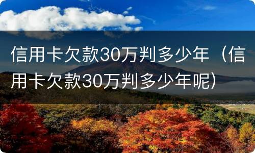 信用卡欠款30万判多少年（信用卡欠款30万判多少年呢）
