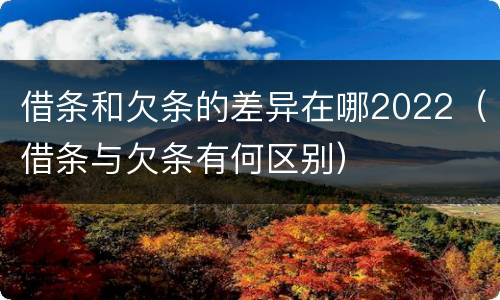 借条和欠条的差异在哪2022（借条与欠条有何区别）