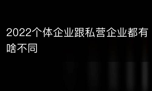 2022个体企业跟私营企业都有啥不同